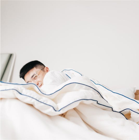 Ecosa Bed Base with Stick Collective