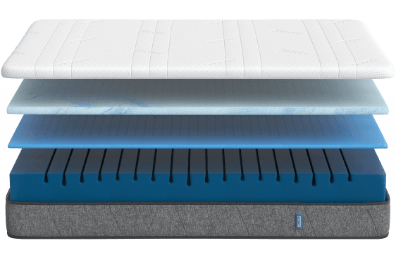 ecosa layers